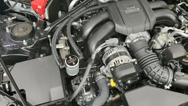 Photo - Close Up