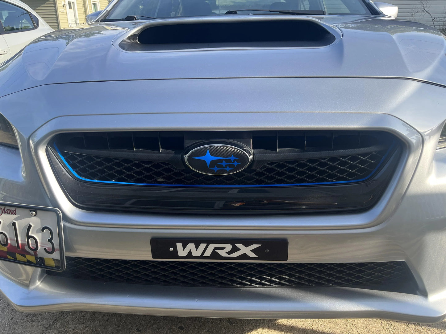 Sticker Fab Grille Pinstripe (Mint) - 2015-2021 Subaru WRX/STI